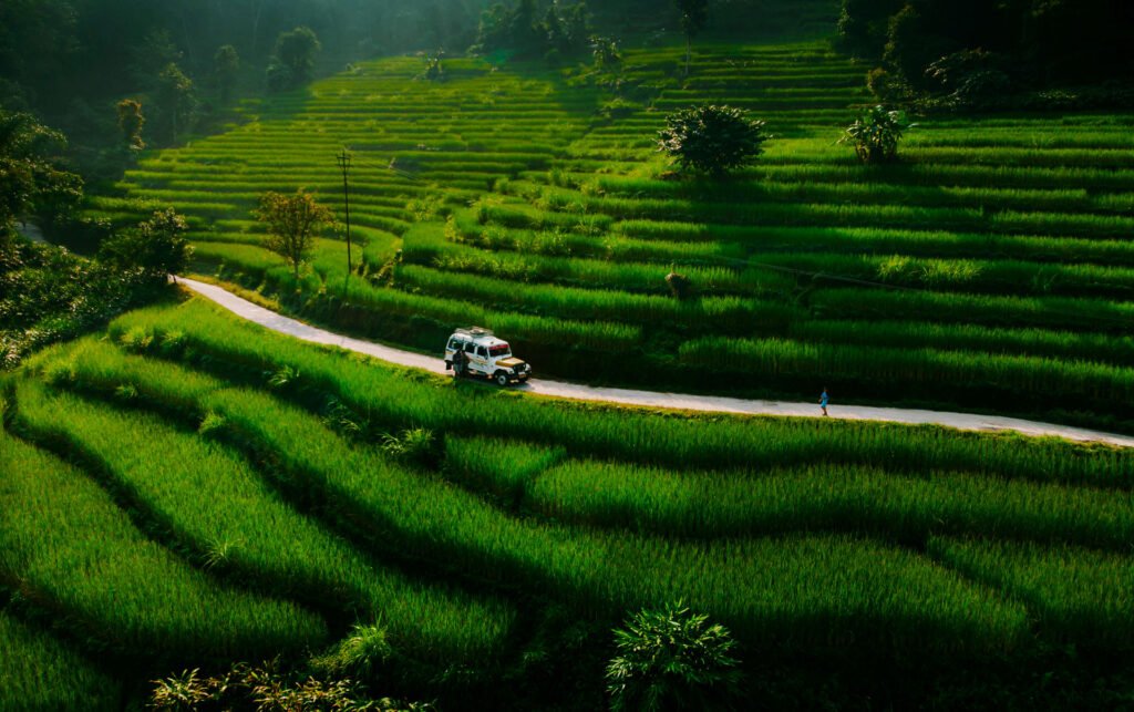 Terrace farming in Kagay