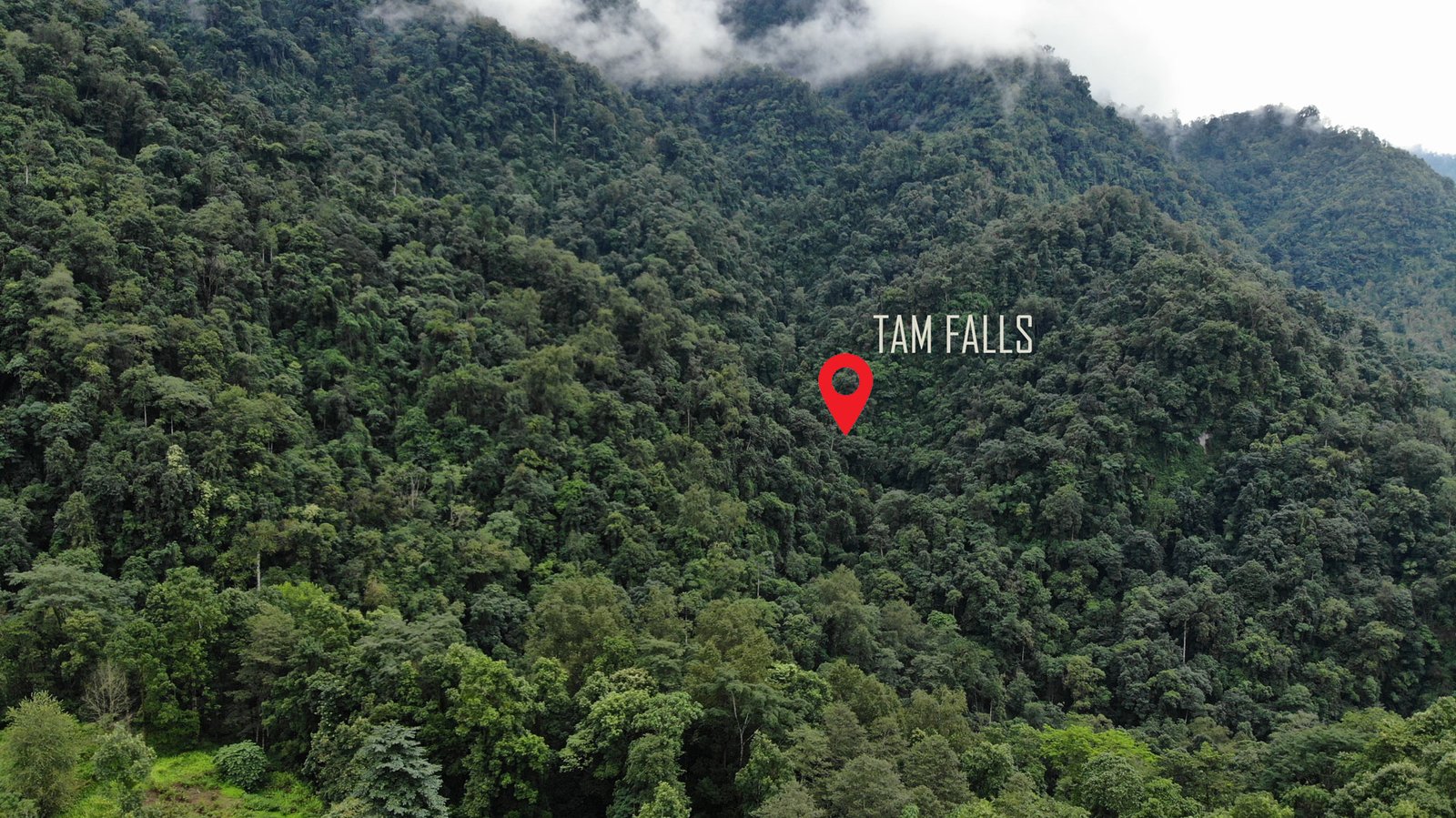 tam Falls in the middle of jungle