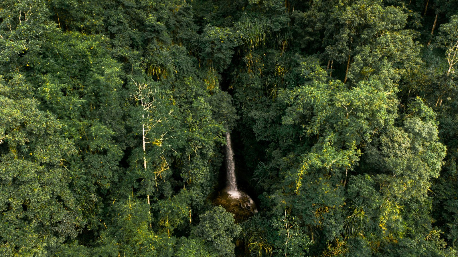 Dhami falls, Kagay
