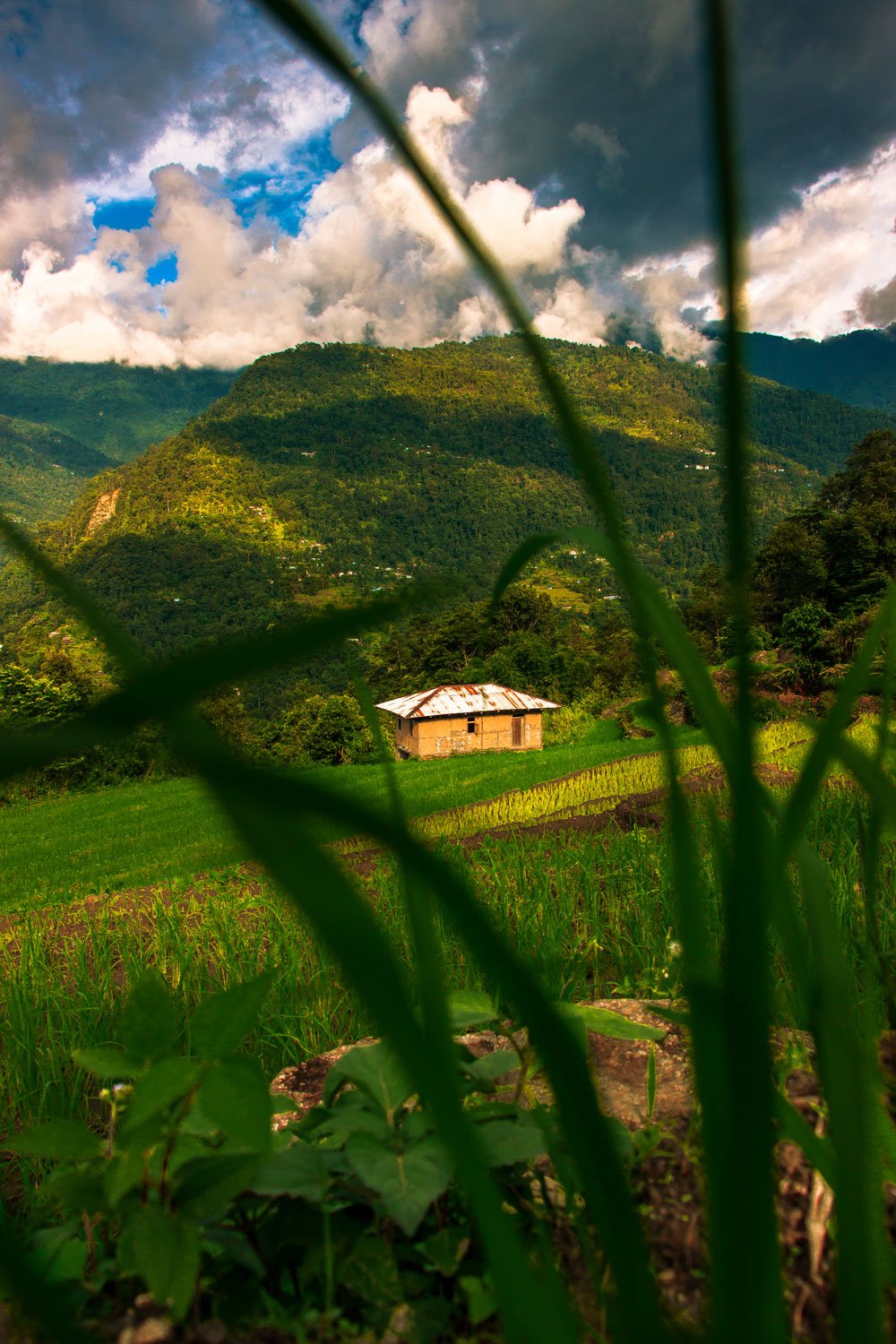 Terrace farming Kagay